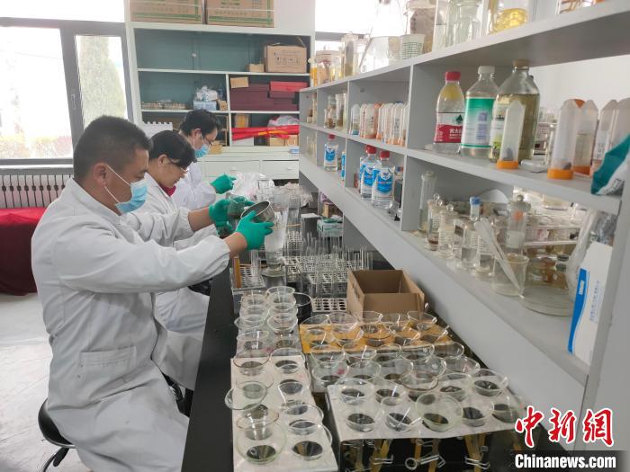 資料圖為研究團隊進行樣本檢查?！?青海省畜牧獸醫(yī)科學(xué)院供圖