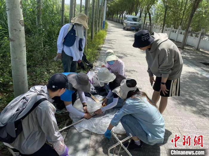 圖為科研人員正在進(jìn)行監(jiān)測(cè)?！∥鲗庝宜畤?guó)家濕地公園供圖