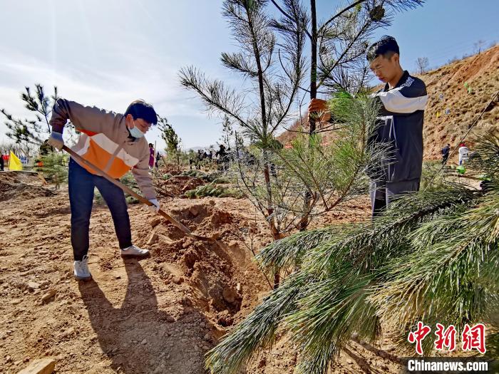 圖為西寧市城東區(qū)義務(wù)植樹活動現(xiàn)場?！?zhí)砀?攝