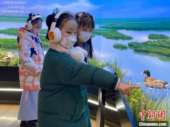 圖為學(xué)生在西寧市第一中學(xué)濕地科普宣教館內(nèi)參觀?！±罱瓕?攝