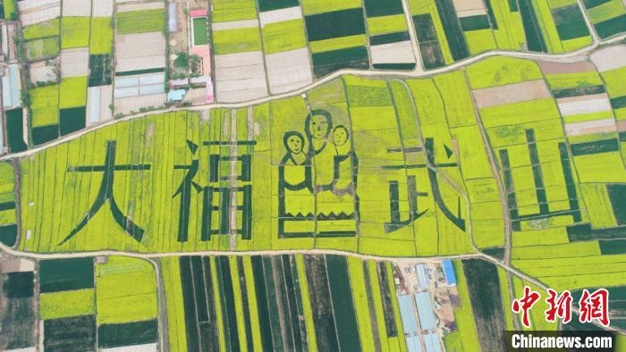 2019年4月，天水武山縣萬畝鄉(xiāng)村油菜花海。(資料圖) 何海瑞 攝