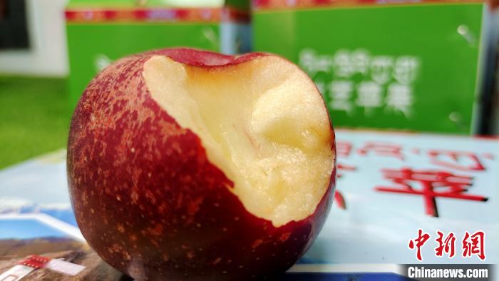圖為通麥村特色甜心蘋果?！∝暽＠?攝
