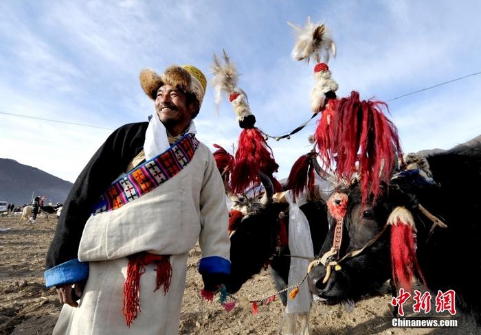 資料圖為2013年3月16日，拉薩市堆龍德慶區(qū)德慶村的農(nóng)民牽著牦牛參加春耕儀式，按照傳統(tǒng)方式由牦牛開(kāi)第一犁。 <a target='_blank' href='/'><p  align=