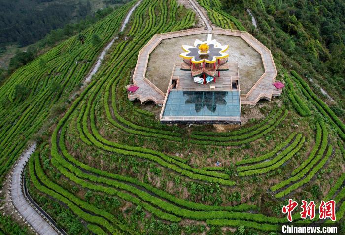 圖為西藏林芝市墨脫縣背崩鄉(xiāng)格林村山頂?shù)木坝^茶園。(無(wú)人機(jī)照片) 李林 攝