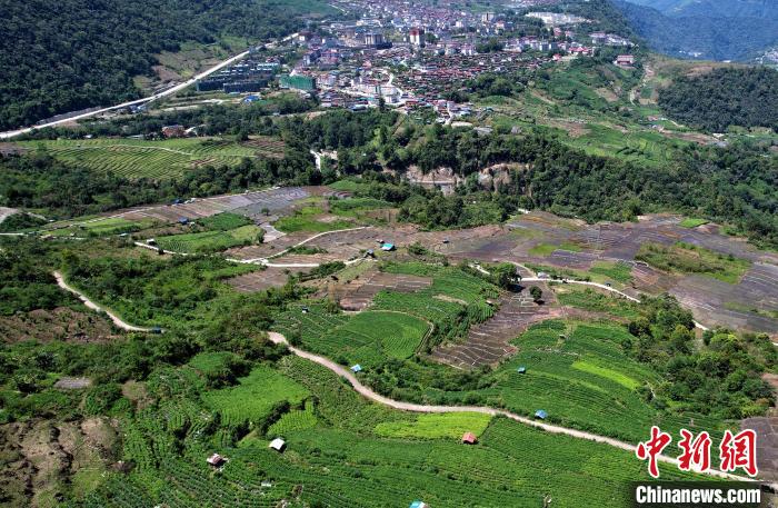 圖為西藏林芝市墨脫縣城附近的茶田。(無(wú)人機(jī)照片) 李林 攝