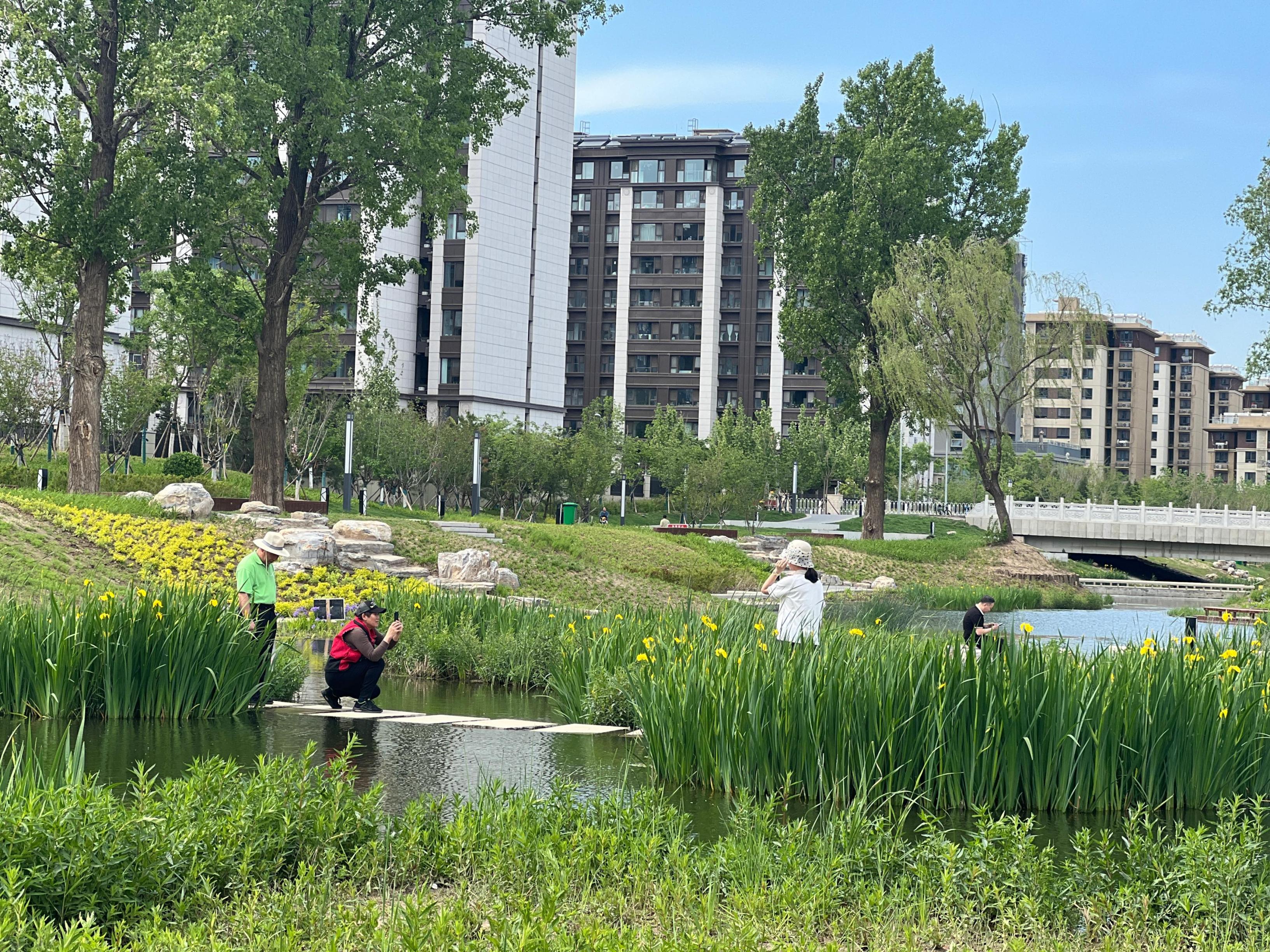 五一渠生態(tài)濱河公園內(nèi)，市民正在拍照留念。人民網(wǎng) 歐陽(yáng)易佳攝