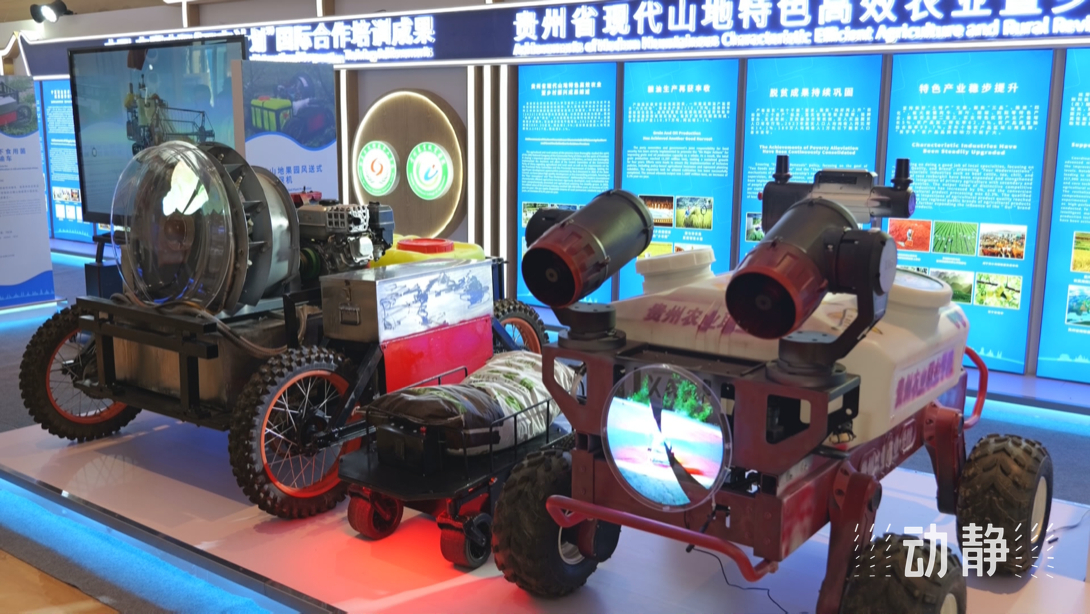 展示成果分享經(jīng)驗(yàn)，中國—東盟教育交流周深化合作共創(chuàng)未來！