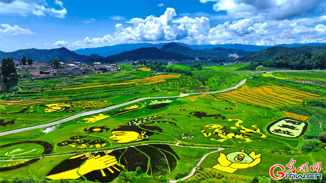 云南清水：延伸公共法律服務(wù)觸角，讓普法與民族團(tuán)結(jié)進(jìn)步互促共融