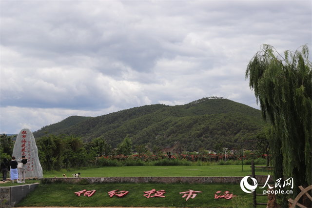 麗江市拉市海景區(qū)。 人民網(wǎng)記者 程浩攝