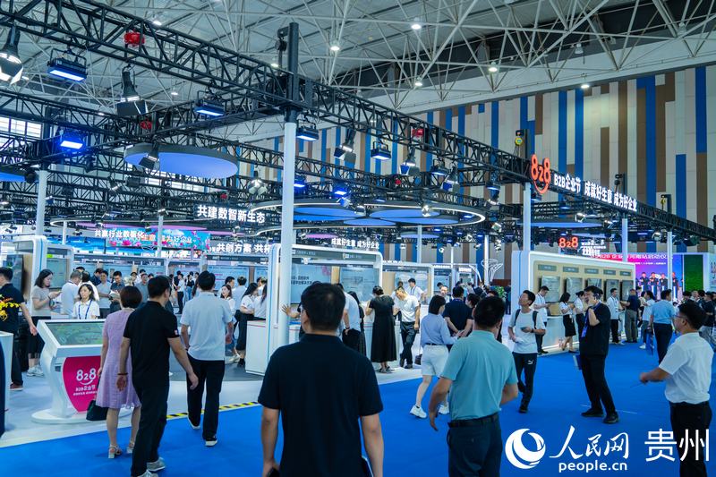 2、2024數(shù)博會(huì)共吸引400余家展商參展。人民網(wǎng) 陽茜攝.jpg