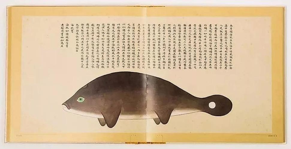 文化中國行 長江之歌丨微笑的江豚，從四千年前“游”來