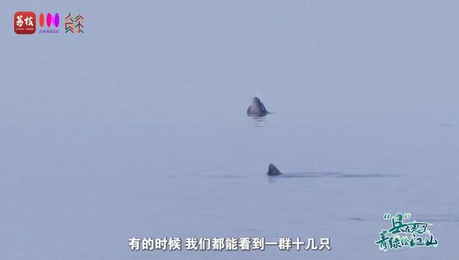 “縣”在起筆 青綠繪江山 | 江灣沐曉：褪去“銹色”走“金線”，繡出生態(tài)與產(chǎn)業(yè)“雙面錦”