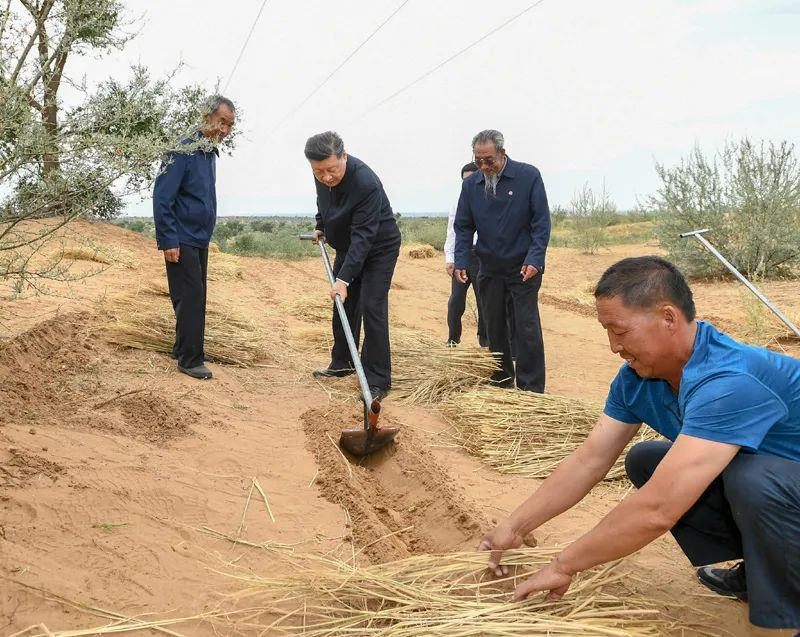 2019年8月21日，習近平來到甘肅省武威市古浪縣八步沙林場，實地察看當?shù)刂紊吃炝?、生態(tài)保護等情況。新華社記者 謝環(huán)馳 攝