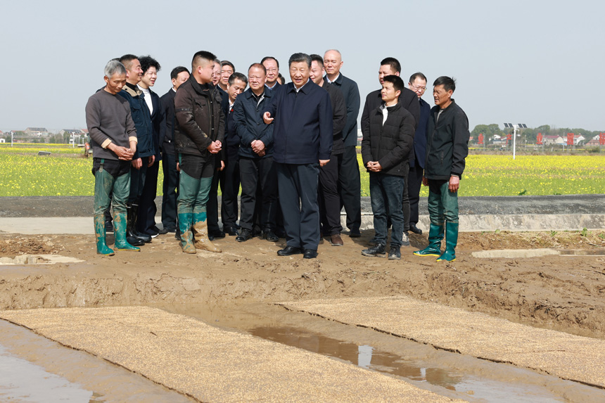 2024年3月18日至21日，中共中央總書記、國家主席、中央軍委主席習(xí)近平在湖南考察。這是19日下午，習(xí)近平在常德市鼎城區(qū)謝家鋪鎮(zhèn)港中坪村走進(jìn)田間，察看秧苗培育和春耕備耕進(jìn)展。新華社記者 王曄 攝