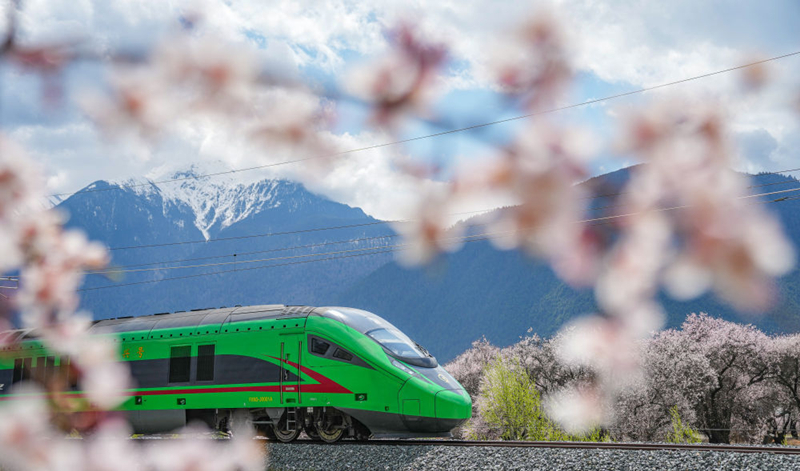 2025年4月2日，復(fù)興號列車穿行在拉林鐵路林芝段。