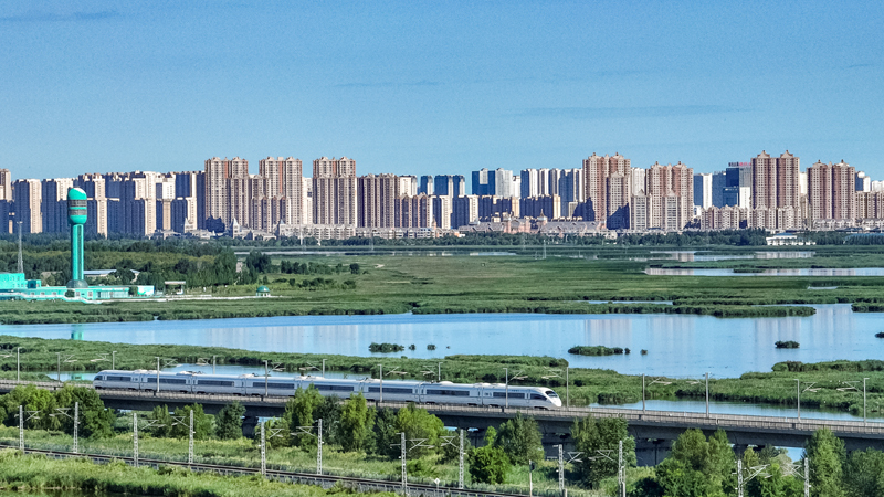 2025年8月17日，一列動(dòng)車組列車駛過(guò)大慶東站。