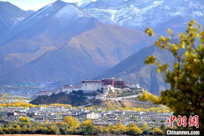 10月24日，雪山、布達(dá)拉宮和秋色組成“風(fēng)景畫”。　江飛波 攝