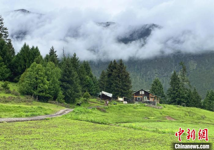6月10日，魯朗小鎮(zhèn)高山牧場(chǎng)景區(qū)風(fēng)光。　冉文娟 攝