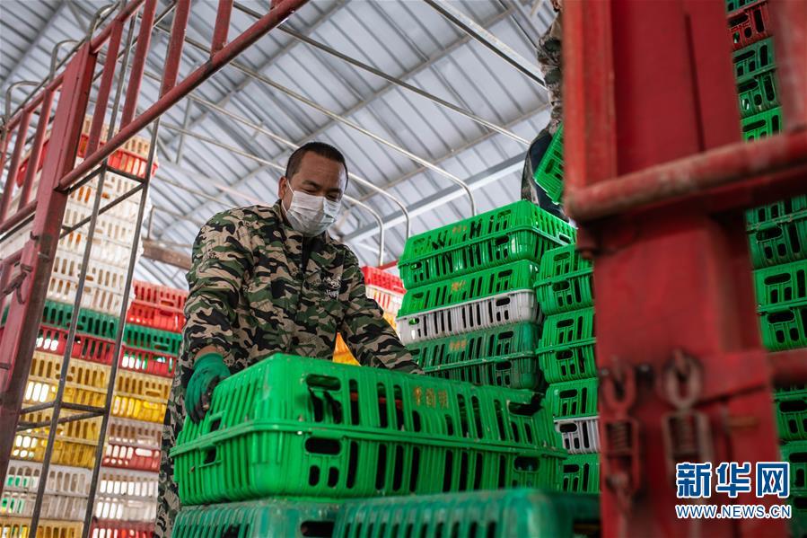 （脫貧攻堅(jiān)）（3）云南迪慶藏區(qū)：打好防疫脫貧兩場戰(zhàn)役