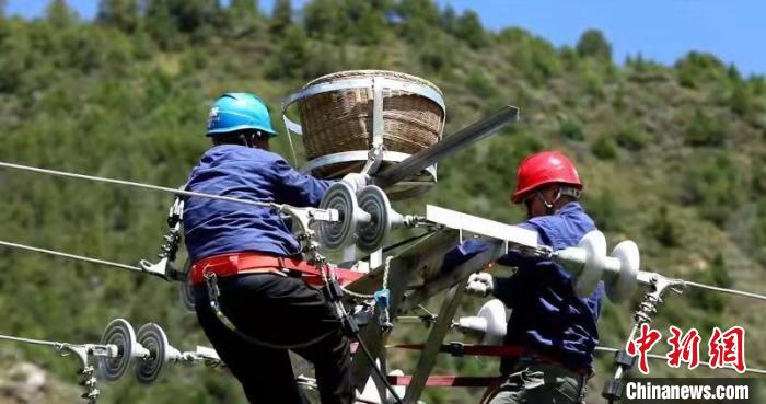 國網(wǎng)青海電力:三江源4000多個“人工鳥巢”實行一體化管理