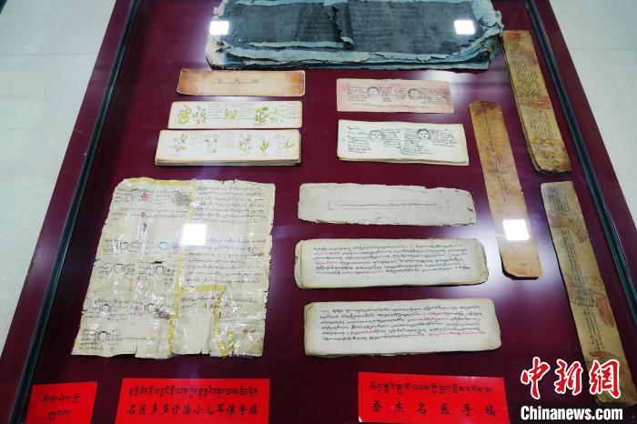 圖為藏醫(yī)古集文獻(xiàn)和藏醫(yī)臨床原始手稿?！●R銘言 攝