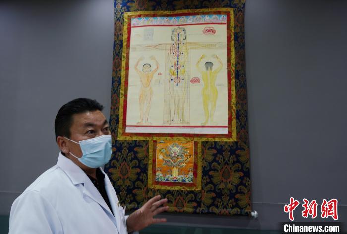 圖為興?？h藏醫(yī)院院長(zhǎng)介紹藏醫(yī)四部醫(yī)典詳實(shí)圖?！●R銘言 攝