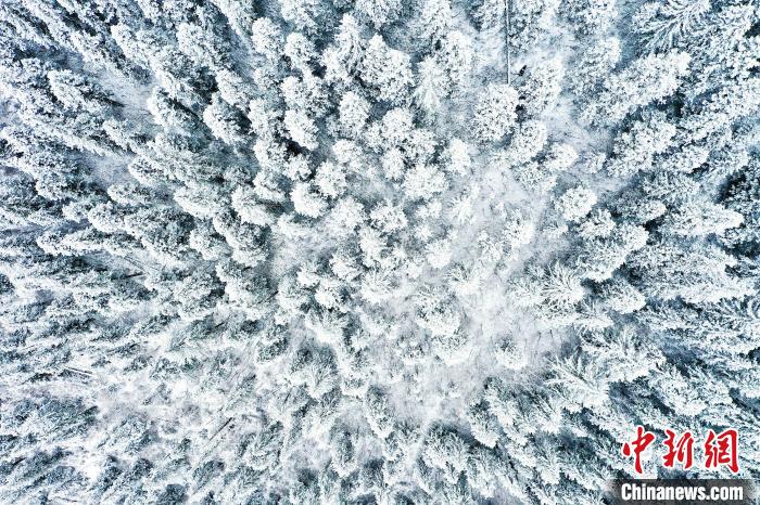 壤塘的雪后美景。　壤塘縣融媒體中心供圖
