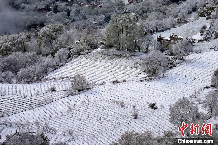 雪后的高山田間如畫?！±钣腊?攝
