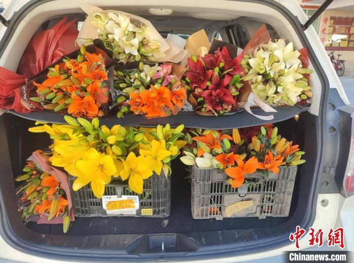 剛剛采摘下來(lái)的百合花?！∪捞量h委宣傳部供圖