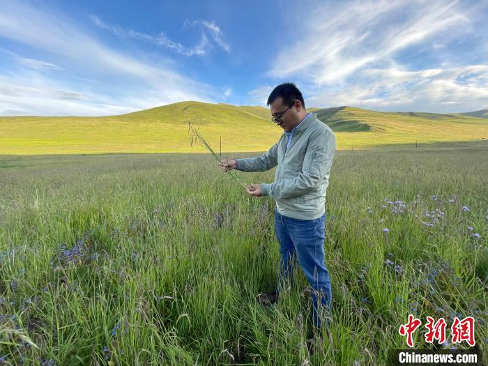 青海達(dá)日“援青縣長(zhǎng)”：雪域高原生態(tài)、民生“并蒂花開(kāi)”