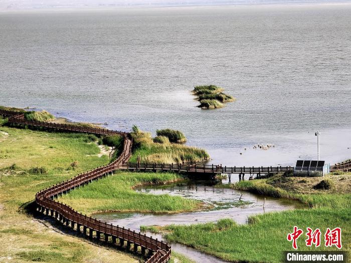 圖為都蘭湖國(guó)家濕地公園觀光棧道?！∑钤鲚?攝
