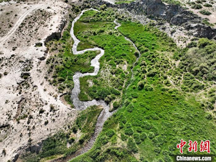 圖為航拍都蘭湖國(guó)家濕地公園綠意盎然?！∑钤鲚?攝