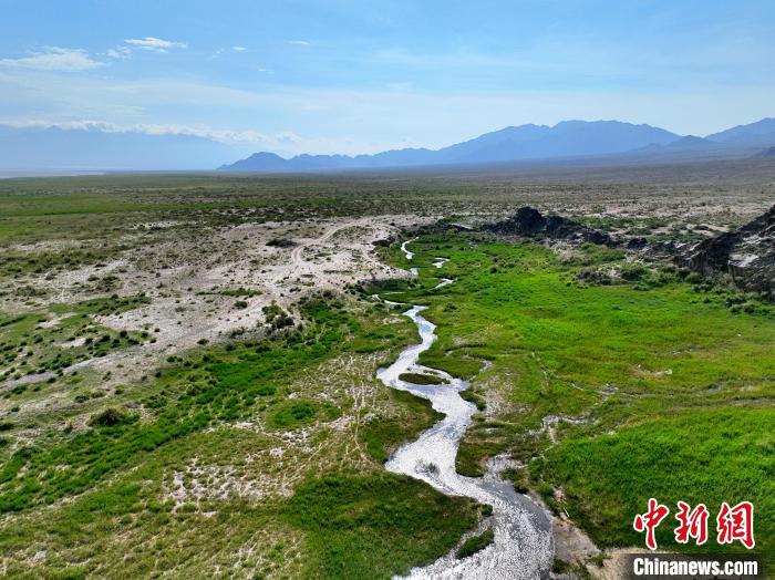圖為航拍都蘭湖國(guó)家濕地公園綠意盎然?！∑钤鲚?攝