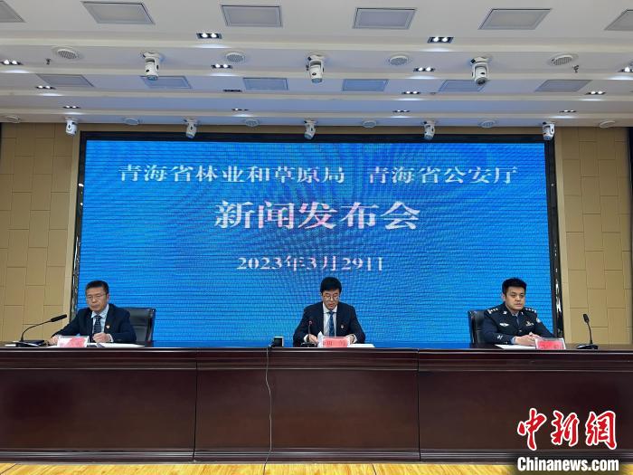 青海去年占用林地、草地準予許可件同比實現(xiàn)“雙減”