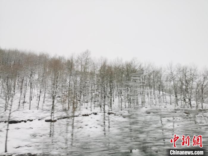 圖為青海青沙山區(qū)域被降雪覆蓋?！?zhí)砀?攝