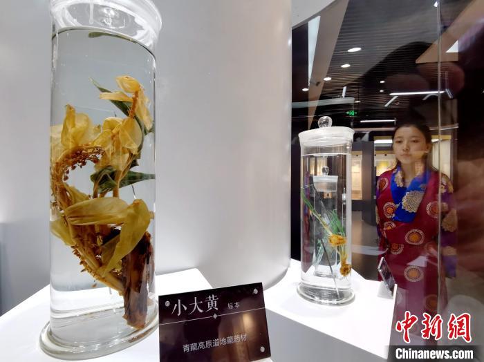 青海中藏醫(yī)藥發(fā)展提速：建設(shè)一批重點(diǎn)專科學(xué)科，推廣一批適宜技術(shù)