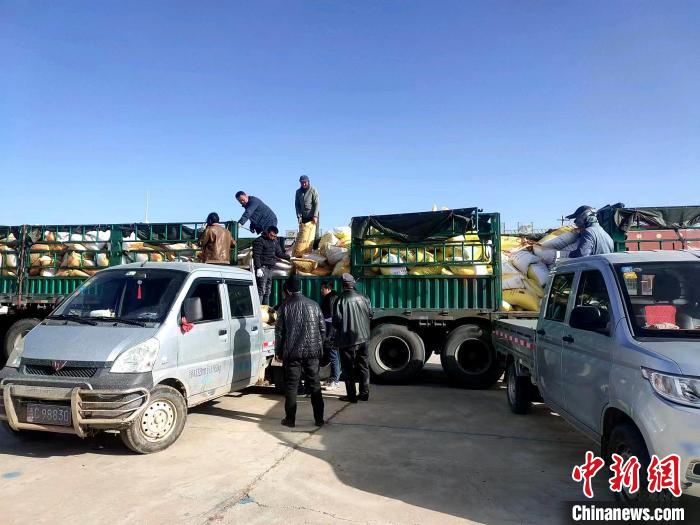 圖為合作社正在拉運化肥。(資料圖) 張海蓮 攝