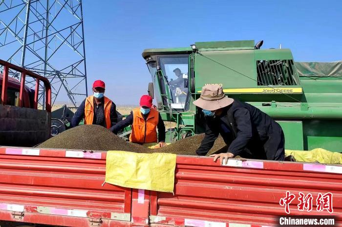 圖為合作社工作人員準(zhǔn)備播種。(資料圖) 張海蓮 攝