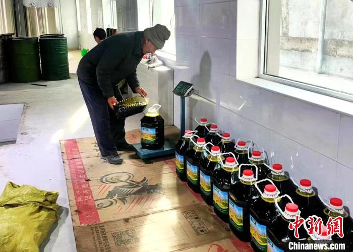 圖為高原油菜籽榨出的菜籽油?！埖么?攝