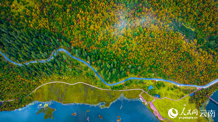 秋日普達(dá)措。格瑪攝