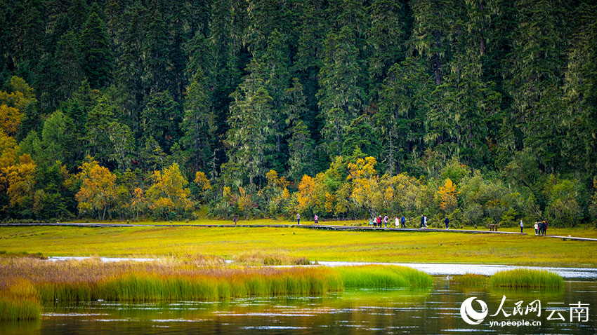 秋日普達(dá)措。格瑪攝