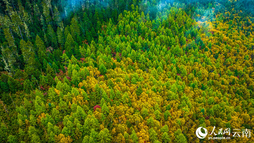 秋日普達(dá)措。格瑪攝