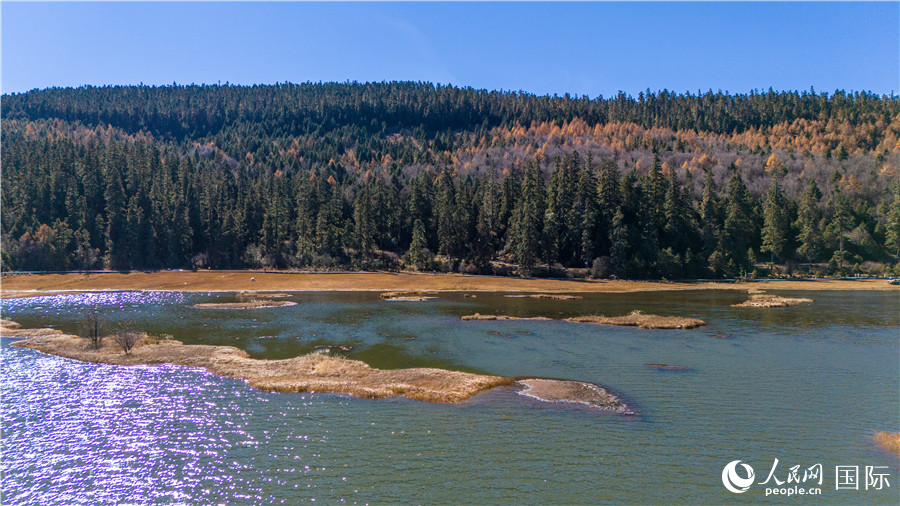 屬都湖畔，層林盡染。人民網(wǎng)記者 虎遵會攝