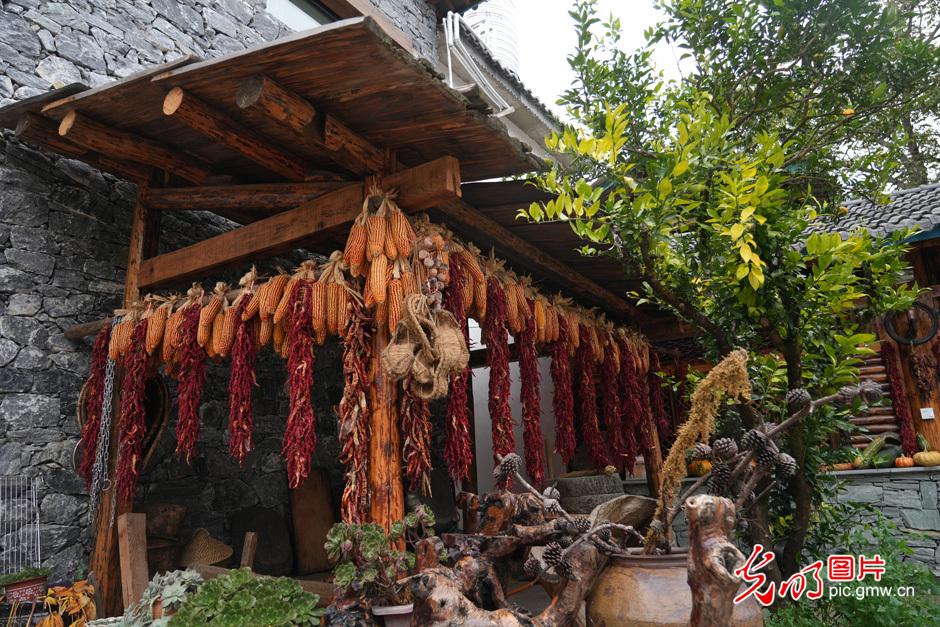 【世界的香格里拉】民宿經(jīng)濟(jì)為鄉(xiāng)村振興注入新活力