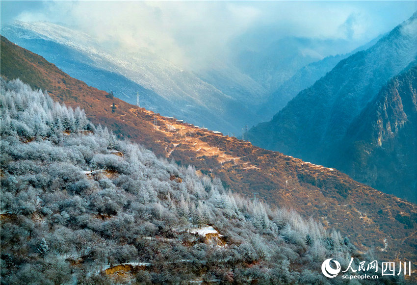 原馳蠟象，欲與天公試比高。胡宇攝