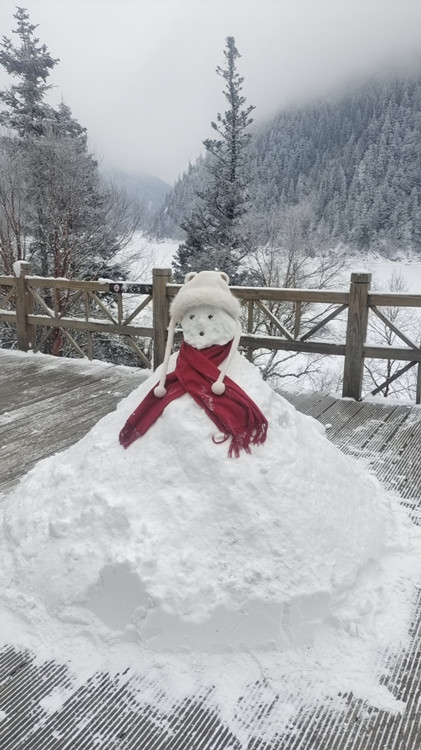游客堆的雪人。九管局供圖