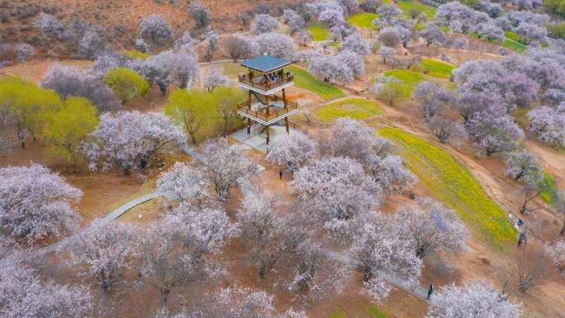 林芝嘎拉村。 張靜攝