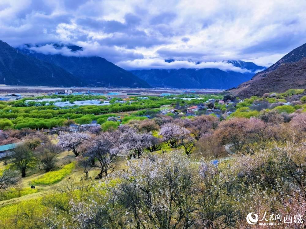 桃花從中的“童話小鎮(zhèn)”。人民網(wǎng) 李海霞攝