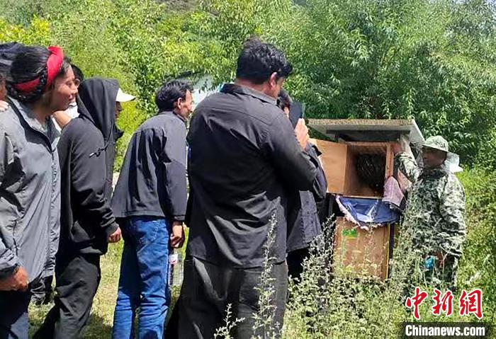 拉久西村村民學(xué)習(xí)養(yǎng)蜂工作流程和防范事項(xiàng)。　昌都市芒康縣委宣傳部供圖