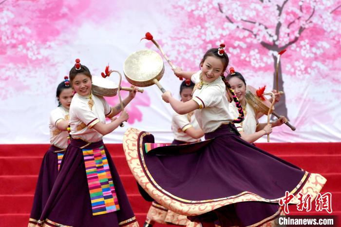 3月28日，西藏林芝第二十屆桃花旅游文化節(jié)開幕式上的文藝表演?！±盍?攝